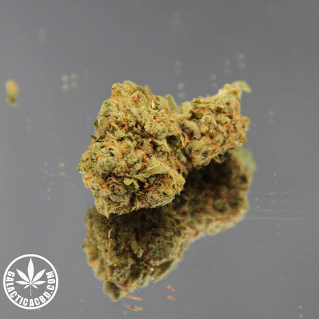 EL PROFESOR (10 GRAMMES)