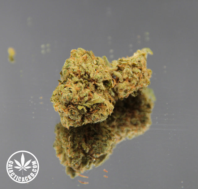 EL PROFESOR (10 GRAMMES)