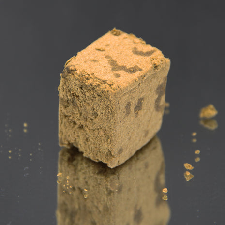 EL PROFESOR POLLEN (10 GRAMMES)