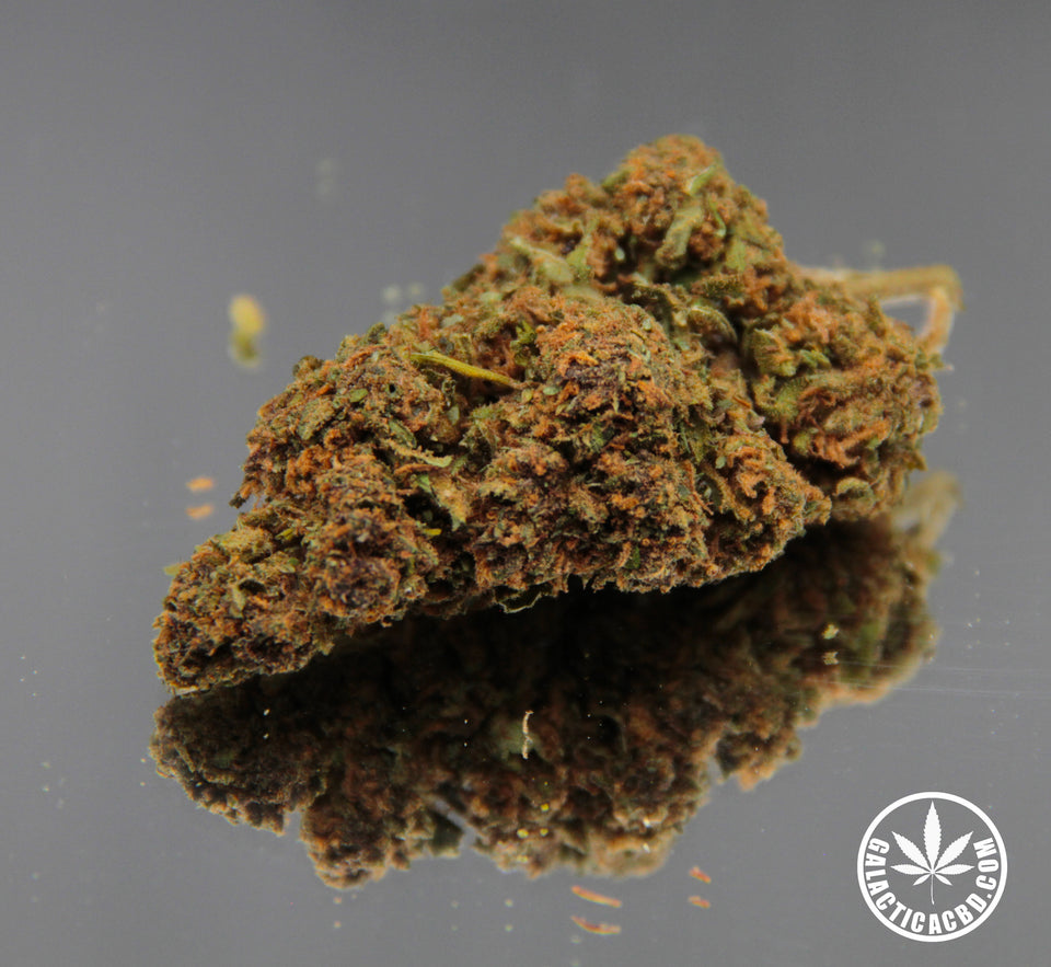 FORBIDDEN FRUIT