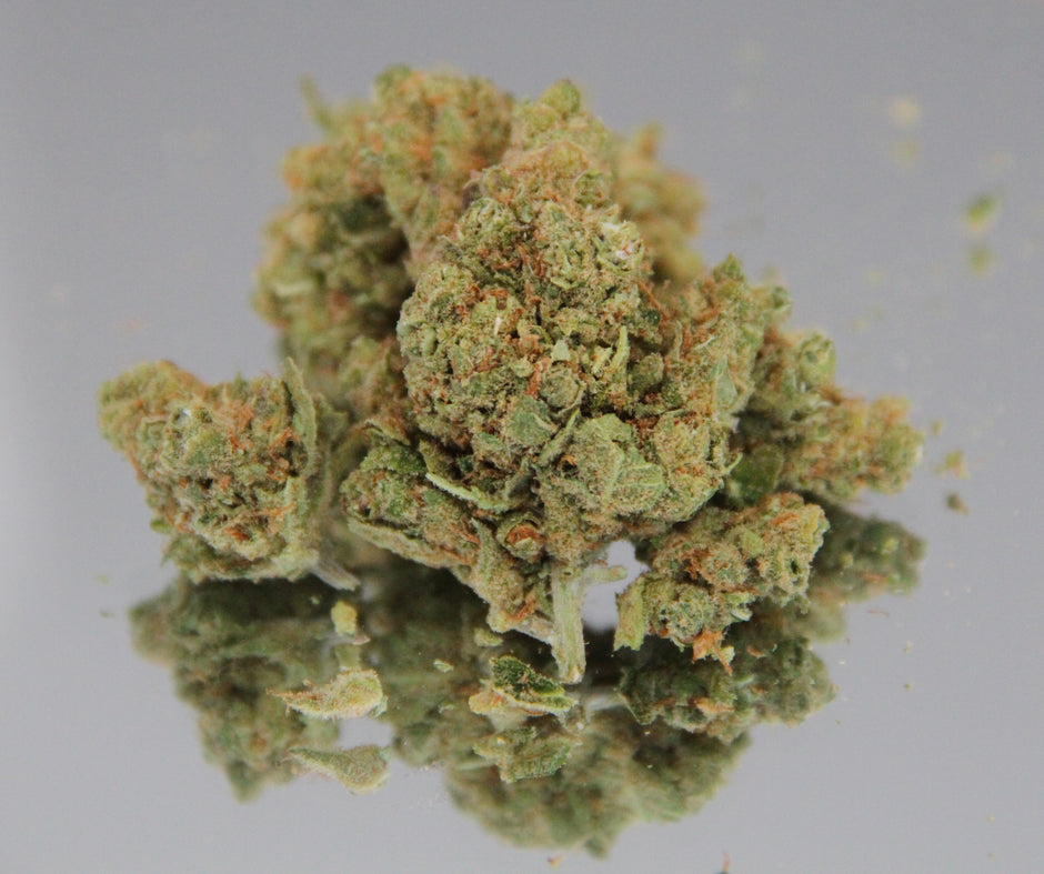 HARLEY QUINN - INDOOR D'EXEPTION (10 GRAMMES)