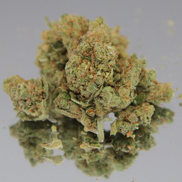 HARLEY QUINN - INDOOR D'EXEPTION (10 GRAMMES)