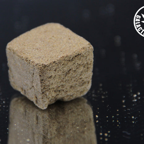 LE MOUSSEUX (10 GRAMMES)