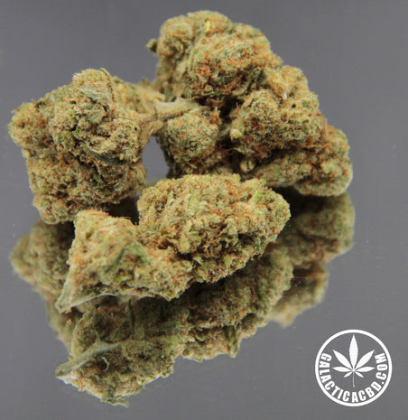 LIM HAZE - INDOOR+ (10 GRAMMES)