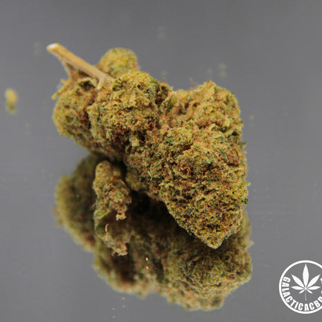 OG KUSH+ - INDOOR D'EXEPTION (10 GRAMMES)