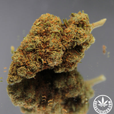 ORANGE BUD - INDOOR+