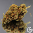 ORANGE BUD - INDOOR (10 GRAMMES)