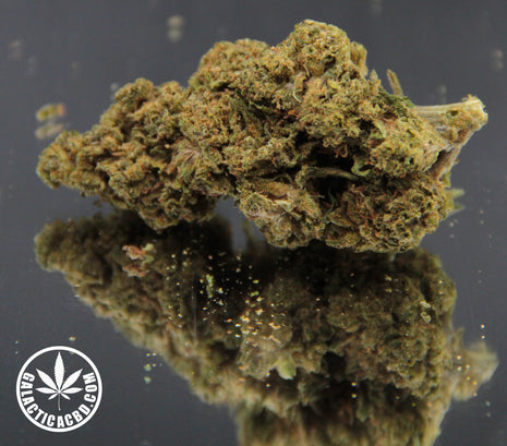 PINK HAZE - INDOOR+ (10 GRAMMES)