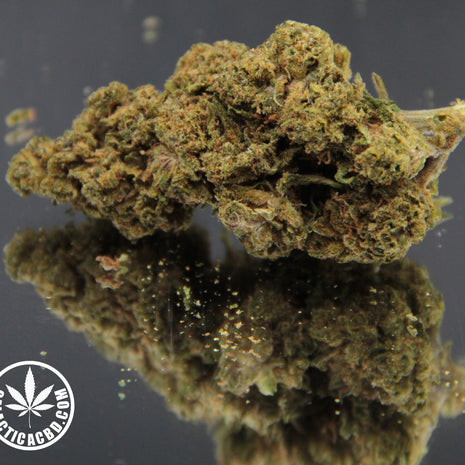 PINK HAZE - INDOOR+ (10 GRAMMES)