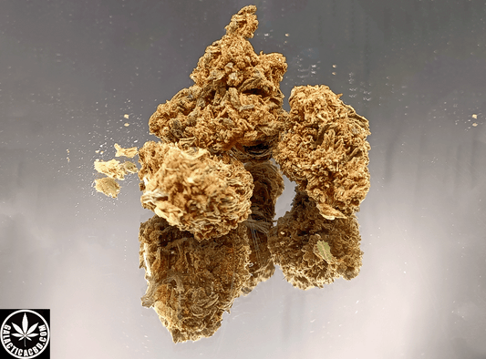 BON PLAN - COOKIE GREENHOUSE (12 GRAMMES)