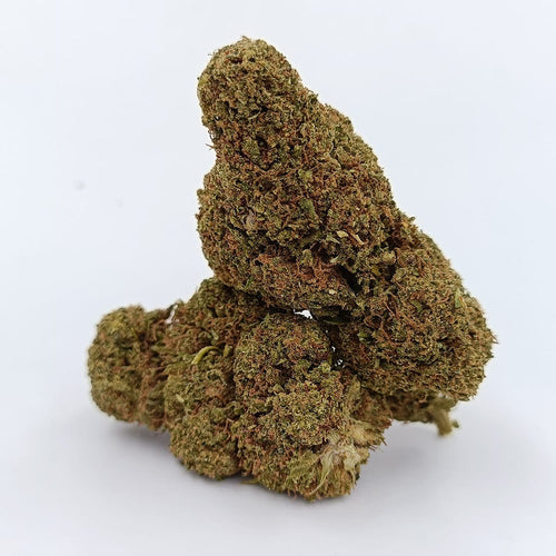 GORILLA MANDARINA