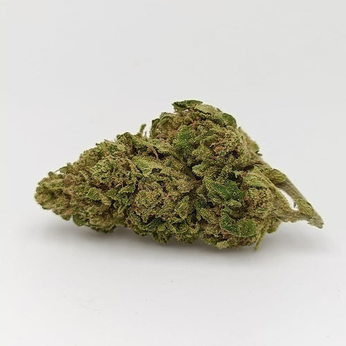 MANGO CHEESE