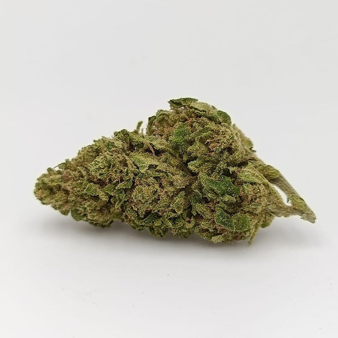 MANGO CHEESE