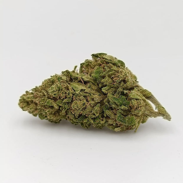 MANGO CHEESE
