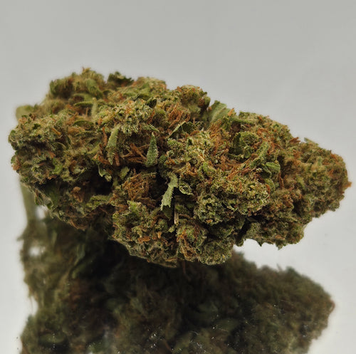 GELATO 60%