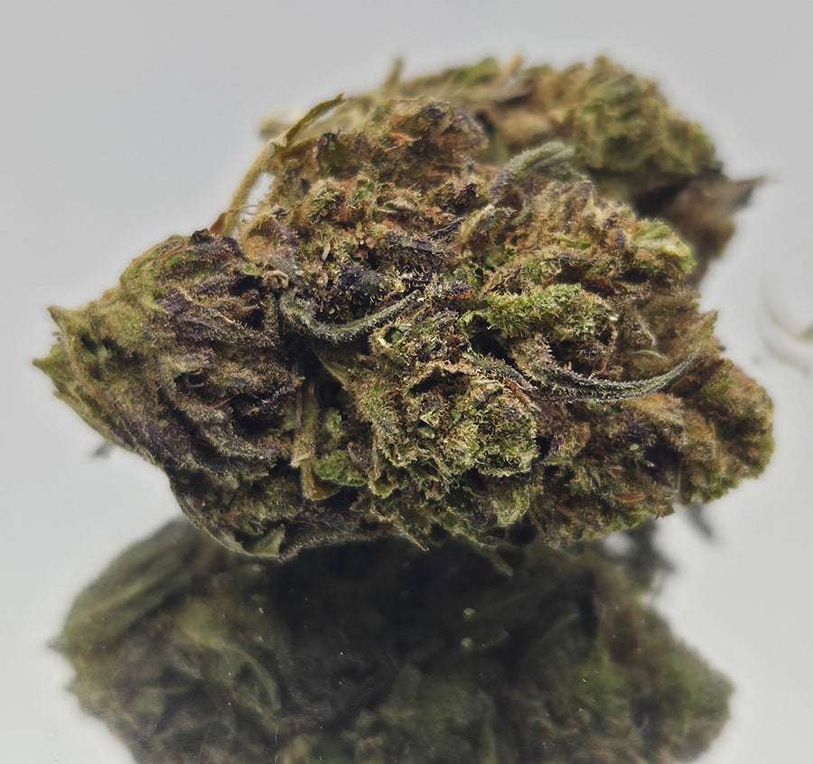 ACDC BUD