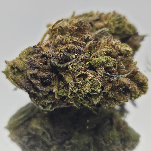 ACDC BUD